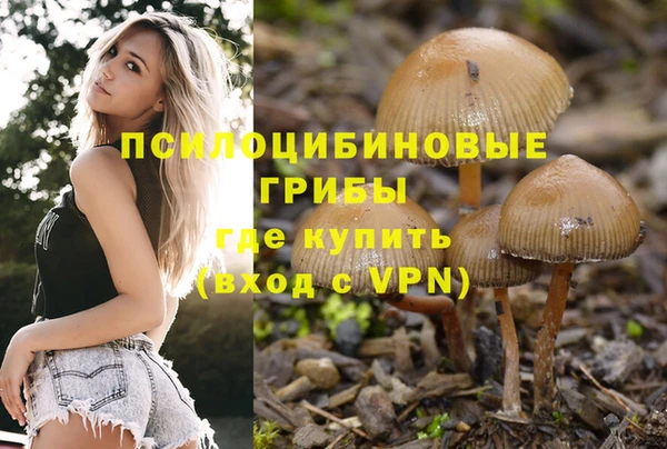индика Алзамай