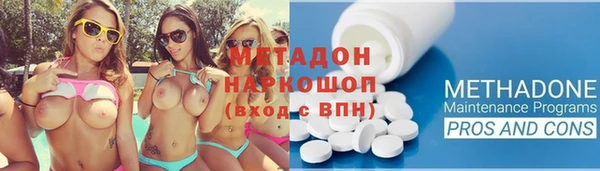 индика Алзамай