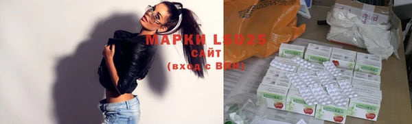 индика Алзамай
