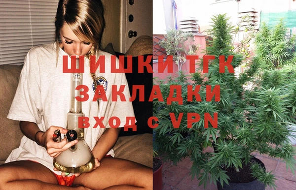 индика Алзамай